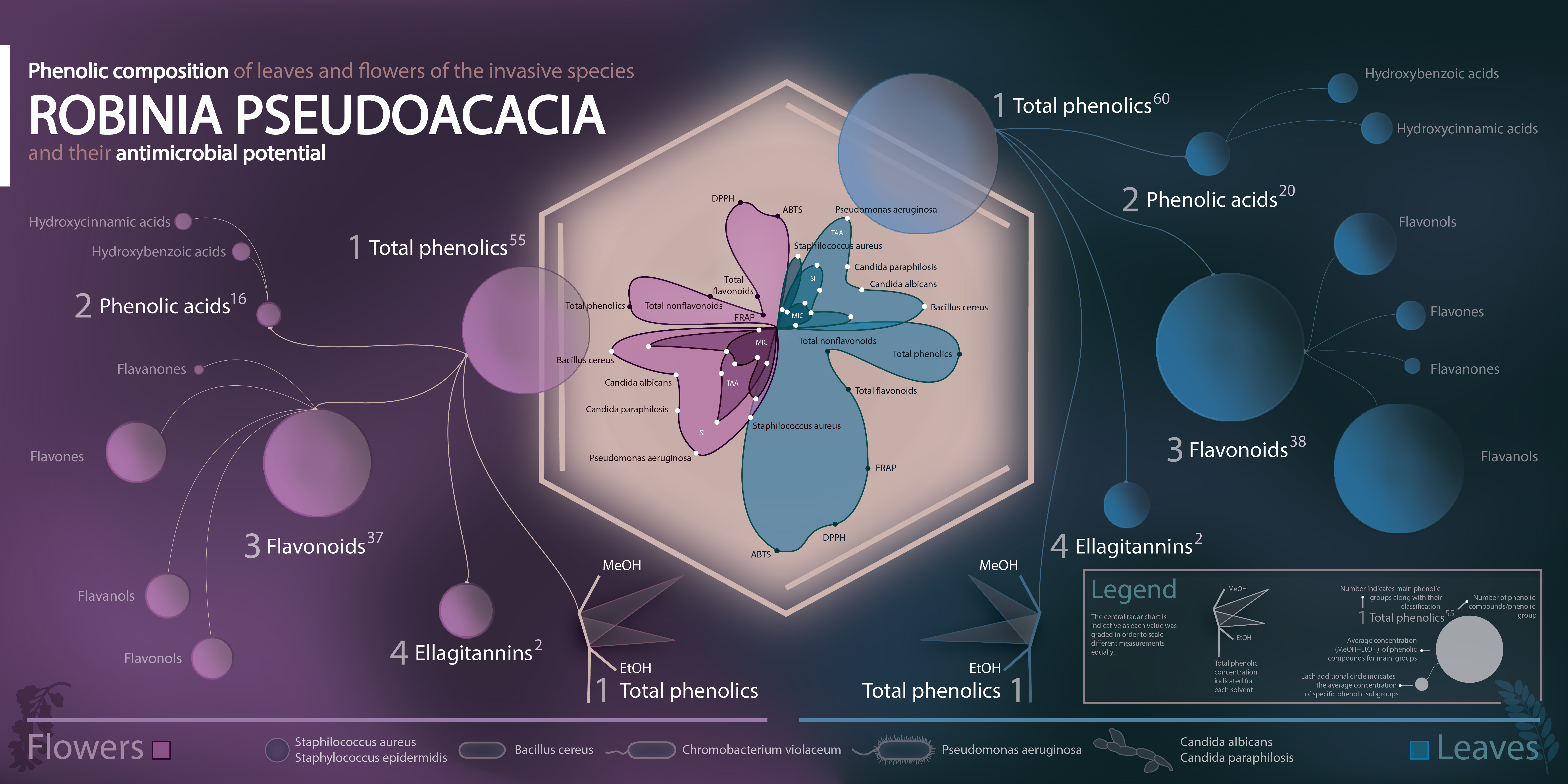 Graphical Abstract final