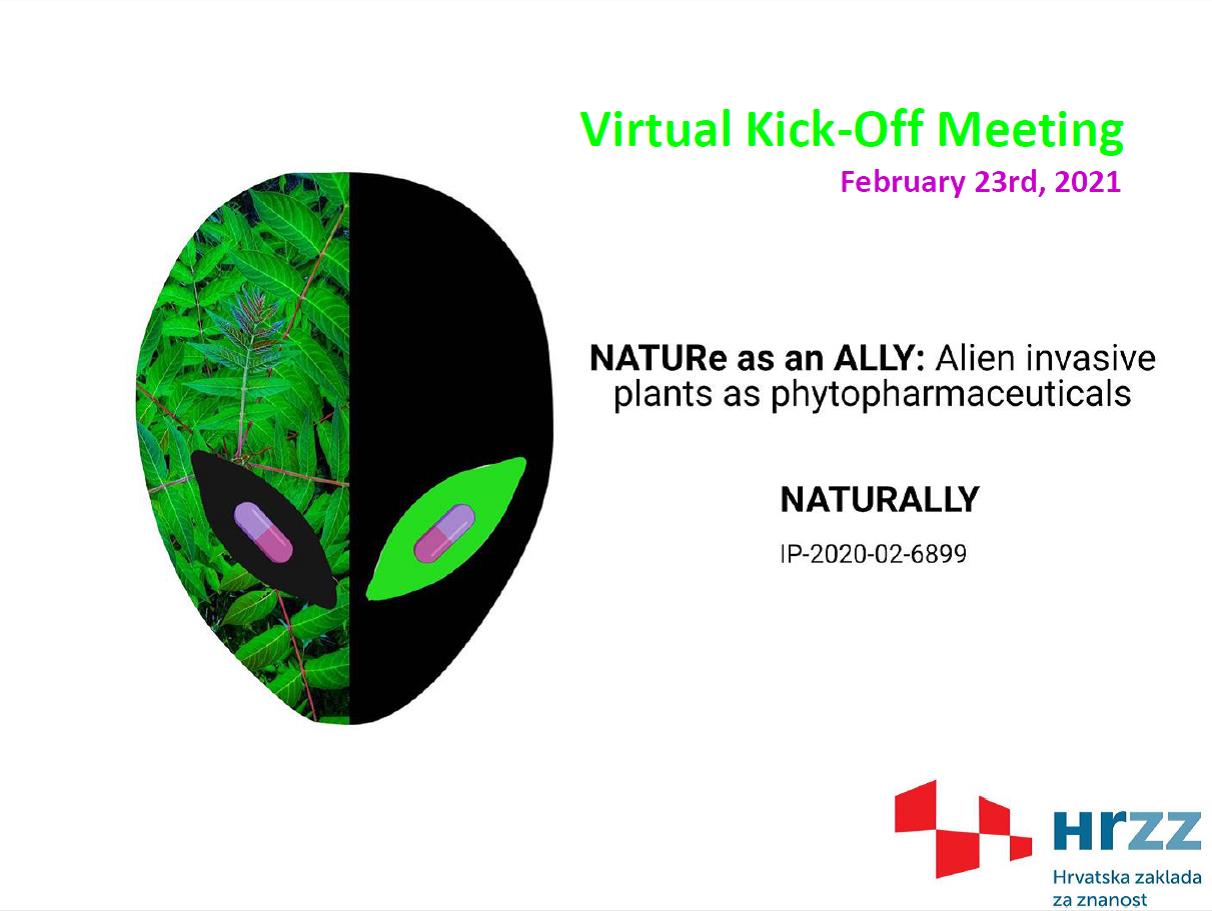 Naturality Virtual meeting 1