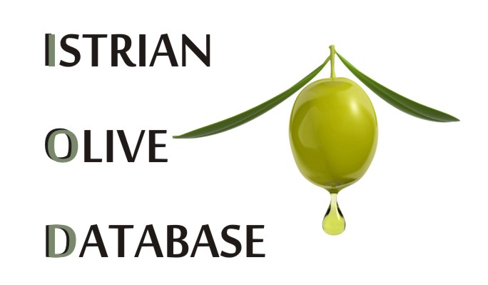 gospon olive r