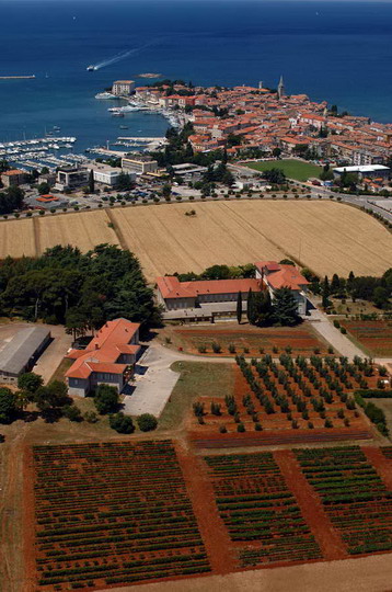 Institut za poljoprivredu i turizam
