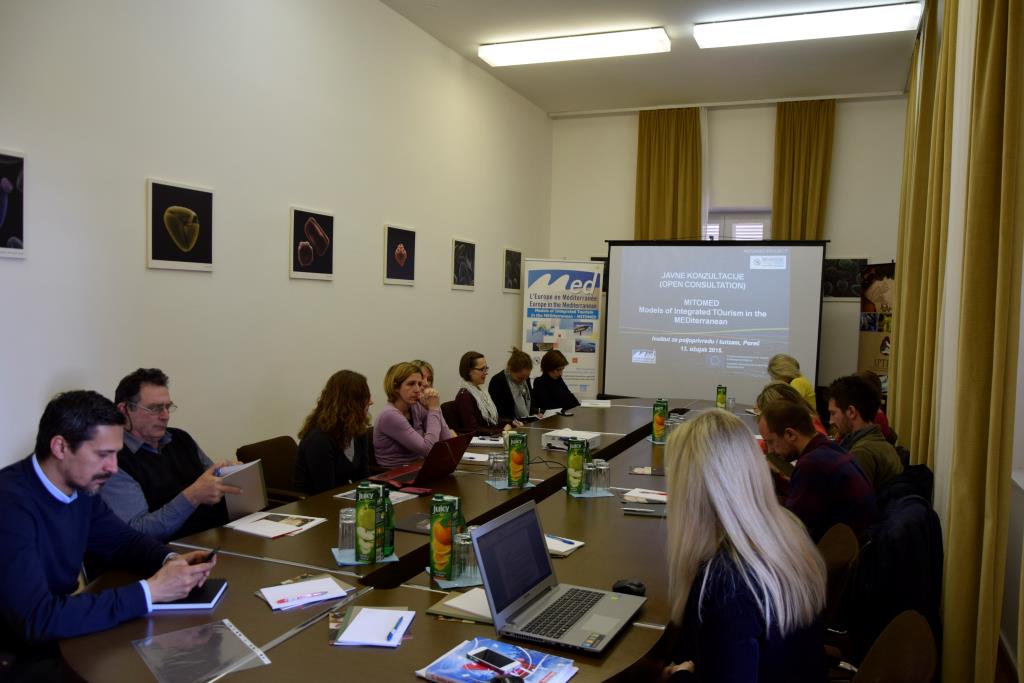 MItomed Public consultation 1