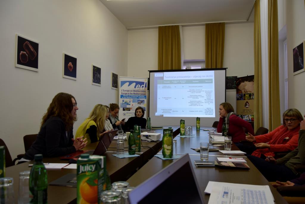 MItomed Public consultation 2