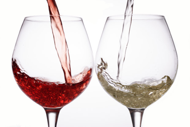 Vino