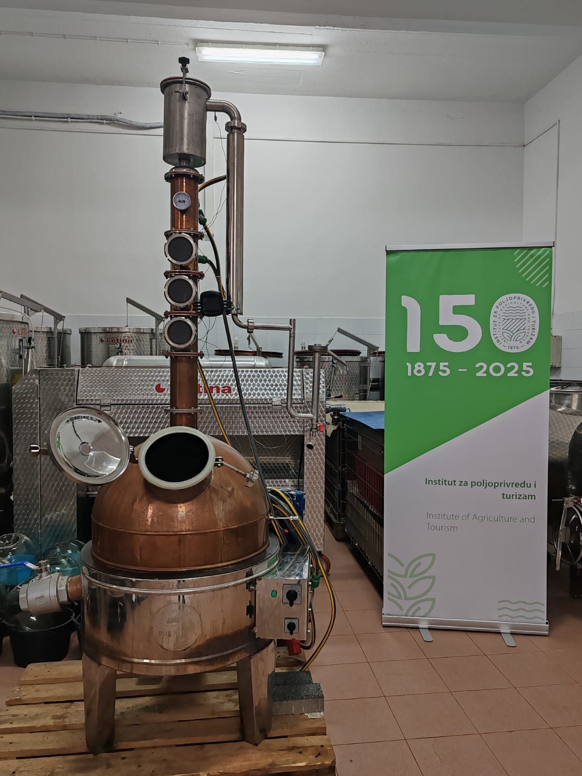 radionica kvasac 1
